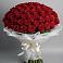 Букет 101 Красная роза Блэк Мэджик в Пучежи