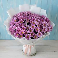 Букет цветов из:  Хризантемы в Пучежи