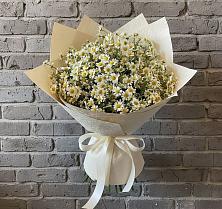 Букет цветов из:  Ромашки #REPLACE_PRED# Пучежи
