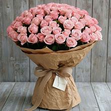 Букет 151 Роза Роуз #REPLACE_PRED# Пучежи