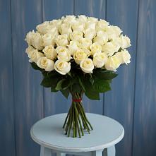 Букет 51 Белая роза Эдлесс Лав #REPLACE_PRED# Пучежи