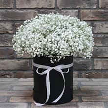 Цветочная композиция из Гипсофила в шляпной коробке в Пучежи