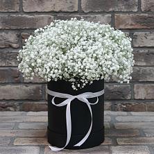 Цветочная композиция из Гипсофила в шляпной коробке в Пучежи
