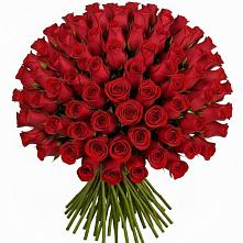 Букет Красные розы Чери Лав в Пучежи