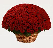 Премиум букет из: Розы в Пучежи