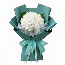 Букет цветов из:  Гортензия в Пучежи